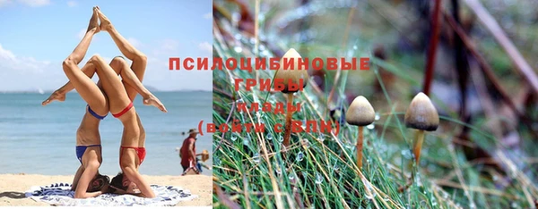 дживик Покачи