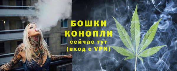 дживик Покачи