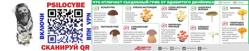 blacksprut ONION Сертолово Галлюциногенные грибы ЛСД