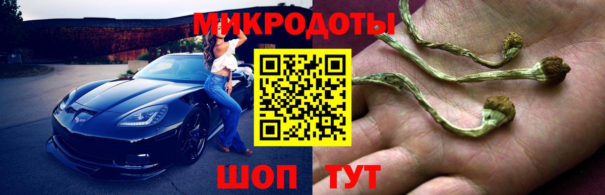 NBOMe Сертолово